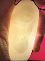 和田玉 布袋弥勒のハンドル 1249