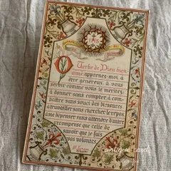 マニュスクリ14ページ　手書き公文書　カリグラフィー フランスアンティーク 141・フランス ペン先 LaComtoise No.1 ニブペン 4本セット