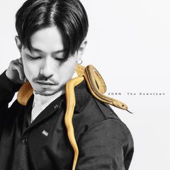 [新品CD] ZORN THE DOWNTOWN ZORN /ゾーン ザ ダウンタウン