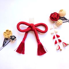 sak 様　専用ページ