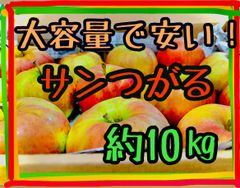 最上ランク特秀品サンつがる　大容量10kg入　激安　アップル　果物フルーツりんご　長野県産リンゴ