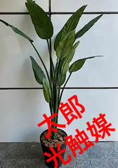 光触媒 人工観葉植物 ウォールグリーン フェイク フラワー