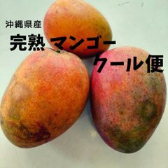 クール便！今期ラスト！　沖縄産　マンゴー　3玉（家庭用）早い者勝ちです