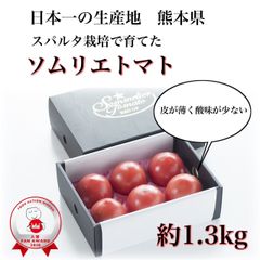 【極み】受賞歴３回！ソムリエトマト１.３kg（６玉～１０玉)