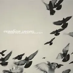 Venetian snares CDまとめ売り MS02MTM4LmpwZWc.jpeg