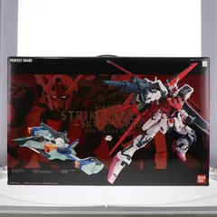 2024年最新】PG 1/60 MBF-02 ストライクルージュ + スカイグラスパー 