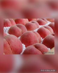 ☆完熟訳あり桃大量☆山梨産もも８〜１０玉箱☆白鳳桃☆黄金桃