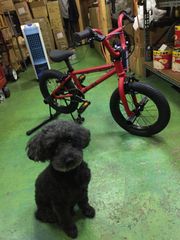 送料無料 BMX SKYWAY フレーム+フォーク+ハンドル+シートポスト