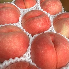 ももちゃん果樹園の桃　品種 ふくあかり　5キロ箱×2ワケあり　少し柔果あり datesuimitsuen_momo_01.jpg