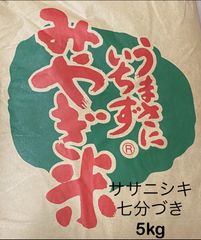 【七分づき】宮城県産ササニシキ5kg