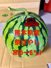 【産地直送・大玉すいか赤果肉・２９日以降発送】熊本県産大玉スイカ　祭ばやし（M:5～6㎏未満）２玉　正規品　秀品