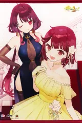 【中古】タペストリー ソフィー＆ラミゼル 描き下ろしB2タペストリー 「PS4/switchソフト ソフィーのアトリエ2 ～不思議な夢の錬金術士～」 ソフマップ購入特典