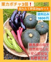 旬な美味しい栗カボチャ3個入り❗️朝採れなっちゃん野菜