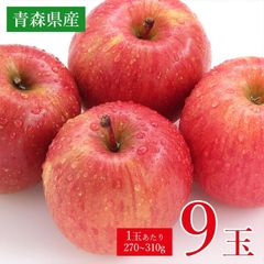 【順次発送中】 送料無料 青森県 青森 サンつるが サンふじ ふじりんご ご家庭用 4玉 1玉 270g ～ 310g 前後 りんご 国産 国産りんご 青森りんご リンゴ ご家庭用 ご自宅用