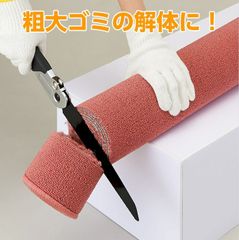 Item thumbnail for item ba53e009-3bc4-4d61-833b-41692cf6b612