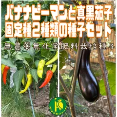 バナナピーマンと早生真黒茄子（ナス）の種子　各20粒　固定種・無農薬無化学肥料栽培の種子のサムネイル