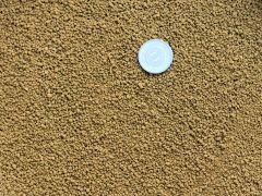 登録商標三本線【硬質赤玉土5L 】 メダカ アガベ 盆栽 山野草