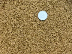 登録商標三本線【硬質赤玉土5L 】  メダカ アガベ 盆栽 山野草 園芸用土 茨城産赤玉土 基本用土のサムネイル