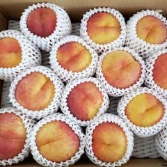常温　ワッサー３ｋｇ　長野県産　【配送先：東北～関西地域限定】】８月中旬頃～出荷