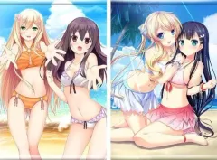 【中古】タペストリー [単品] 集合 B2タペストリー2種セット 「PS4/Switchソフト ハーヴェストオーバーレイ+彼女(あのコ)はオレからはなれない 完全生産限定版」 同梱特典