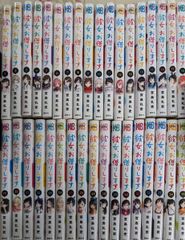 田名俊信/西ゆうじ 芳文社 蔵の宿 全40巻 4巻以外初版 - メルカリ