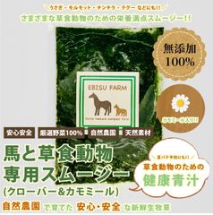 【10個セット】馬 草食動物のための スムージー クローバー カモミール ハーブ リラックス  夏バテ 栄養補給 養老馬 高齢 自然農法 有機野菜 無添加 無着色 ペット用 犬 猫 ハムスター ペット 馬 乗馬 EBISU エビスファーム 誕生日
