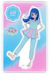 【中古】アクリルスタンド・アクリルパネル ソラ・ハレワタール(髪下ろし) 「ひろがるスカイ!プリキュア ミニアクリルスタンド 第1弾」