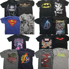 古着卸 まとめ売り マーベル DCコミック 半袖Tシャツ 15枚セット (メンズ Ｓ ) バットマン キャプテンアメリカ スーパーマン 古着 MZ9694