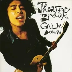 Theatre Brook◾️シアターブルック◾️アルバム14枚セット◾️廃盤だらけ Theatre Brook◾️シアターブルック◾️アルバム14枚セット◾️廃盤だらけ