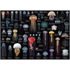 2025年最新】海月大全の人気アイテム - メルカリ