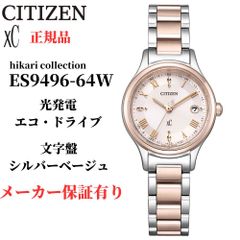 [新品]セイコー アルピニストのステンレスベルトバネ棒外し付き Amazon.co.jp: [セイコー] SBDC091 SBDC087 SBDC089 プロ