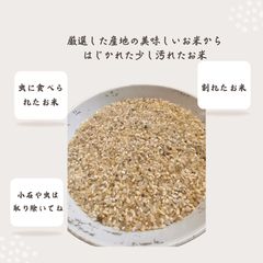 やけ米 24kg 鶏飼料 野鳥の餌に使えるお米 やけ米 24kg 鶏