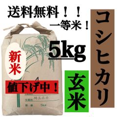 玄米　5kg コシヒカリ　新米　埼玉県産　令和4年産　送料無料　米　5キロ