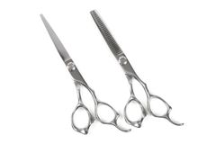 Item thumbnail for item a4fb79ea-3bdb-4d2c-860c-d0471ce7be87