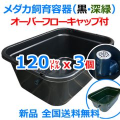 新タイプ】メダカ飼育ケース 60㍑黒x4個 オーバーフローキャップ