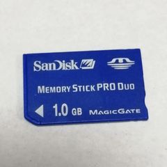 SanDisk メモリースティック PRO Duo 1GB  MagicGate【動作確認・フォーマット済み】 メモリースティックプロデュオ サンディスク 1.0GB