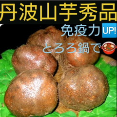 🌟新芋🌟🉐丹波山芋秀品5個入り🉐