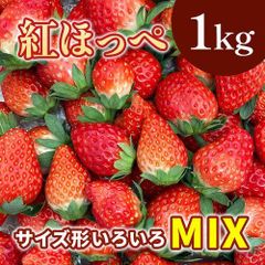 【期間限定 1kg】紅ほっぺ MIX サイズ 形いろいろ フルーツ スイーツ イチゴ 苺 いちご 果物 生鮮 洋 fruit