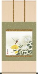 掛け軸 菊花に小鳥 高見蘭石(尺五横) 丈の短い花鳥画 三段大和表装 床の間 秋 きっか [幅54.5・高さ約115センチ]5A7-226