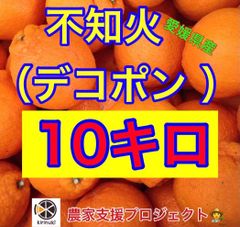 不知火（デコポン）10キロ