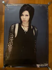 2025年最新】acid black cherry ポスターの人気アイテム - メルカリ