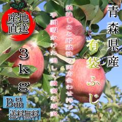 青森県産 有袋ふじ りんご【B品3kg】【送料無料】【農家直送】リンゴ ふじ