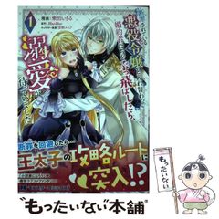 ライトノベル ハイスクールD×D 25巻 初版 帯付き チラシ付き 最終巻 ライトノベル ハイスクールD×D 25巻 初版 帯付き チラシ付き 最終巻