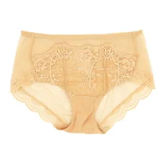 ショーツ レディース 透ける レース スタンダード レギュラー フルバック 柔らかい ストレッチ エレガント おしゃれ パンツ 大きいサイズ パンティ 黒 白 rs-022