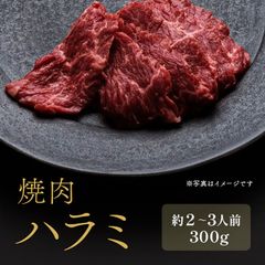 焼肉 ハラミ 300g