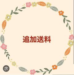 追加送料