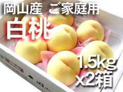 【冷蔵便】岡山産　清水白桃　約1.5ｋｇｘ2箱（1箱5～7玉入り）　桃　ご家庭用