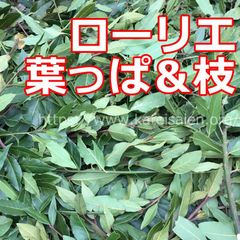 無農薬 ローリエ 月桂樹 葉っぱ＆枝 リース スパイス☆オーダメイド対応可♪