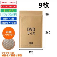 DVDサイズ　しっかりした薄型茶色クッション封筒　茶クラフト9枚