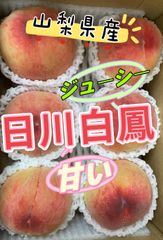 日川白鳳　白桃　桃